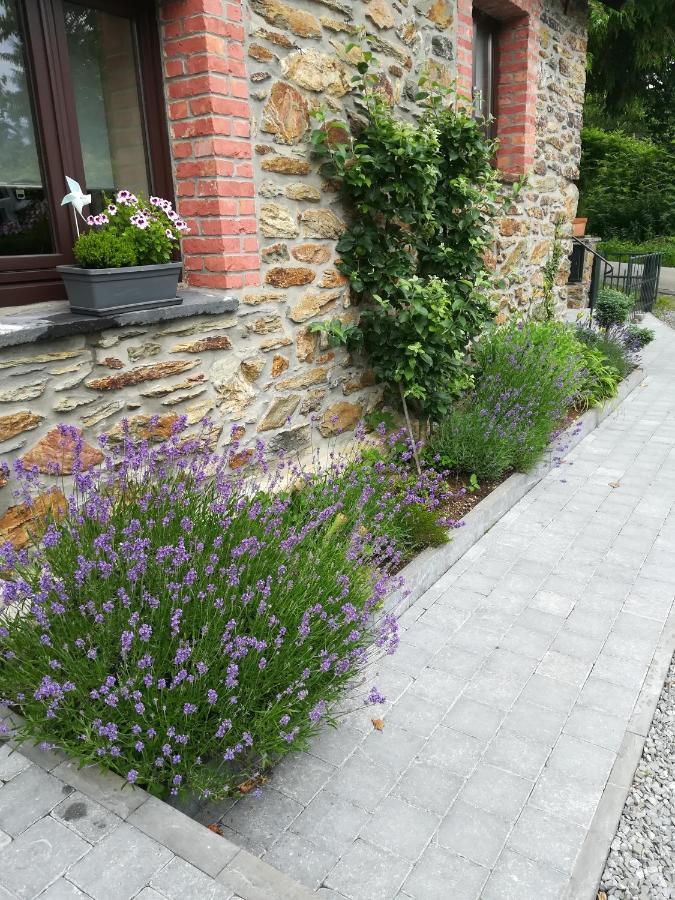 Le Fournil Gîte Rural Trois-Ponts Exterior foto